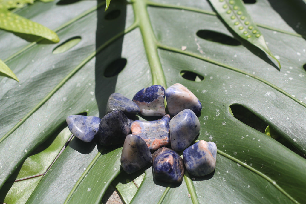 Sodalite (1 tumbled stone)