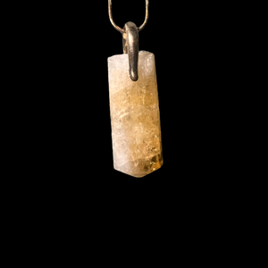 Citrine Horseshoe Swivel Necklace